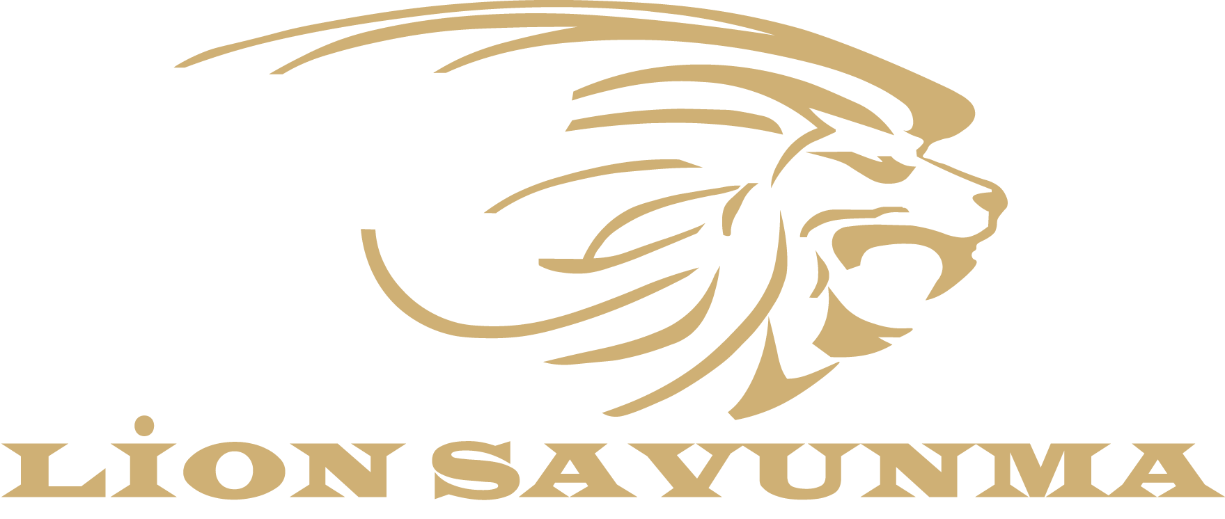 Lion Savunma